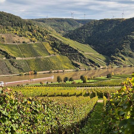 Weingut Mathy-Schanz Osann-Monzel Eksteriør bilde