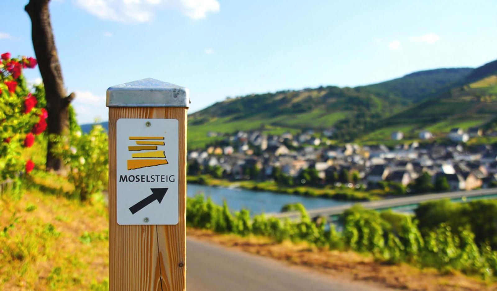 Weingut Mathy-Schanz Osann-Monzel Eksteriør bilde
