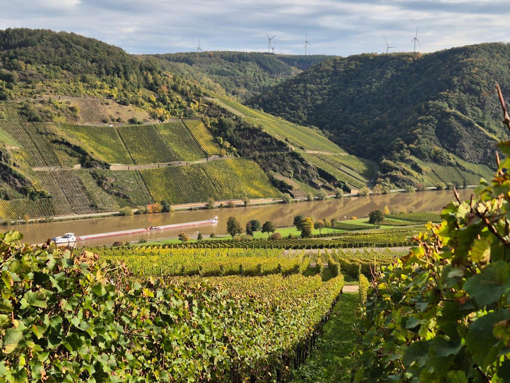 Weingut Mathy-Schanz Osann-Monzel Eksteriør bilde